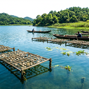 Sustainable Partnerships