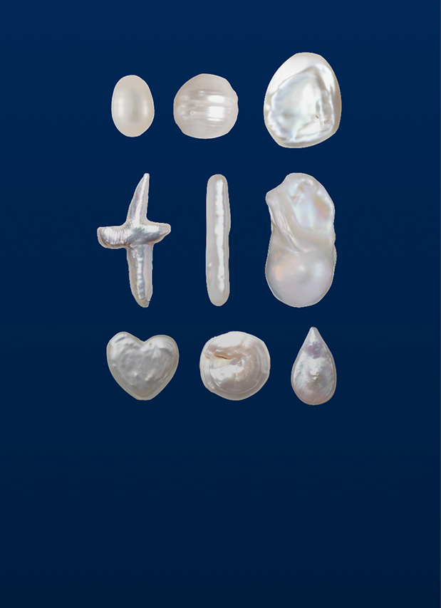 The world’s most complete Baroque shape guide