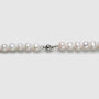 Double Circle Strand Classic Pearl Necklace